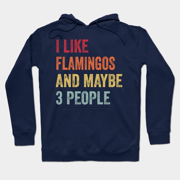 I Like Flamingos & Maybe 3 People Flamingos Lovers Gift Hoodie by ChadPill